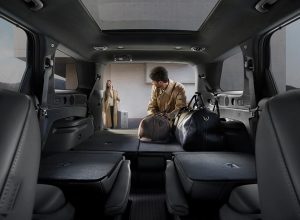 INTERIOR PALISADE (1)