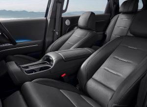 INTERIOR PALISADE (11)