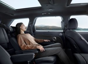 INTERIOR PALISADE (8)